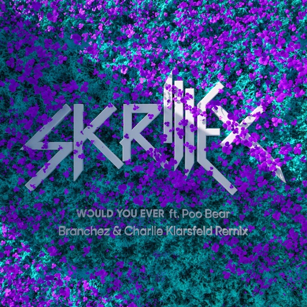 Would You Ever (Branchez & Charlie Klarsfeld Remix) - Single album cover