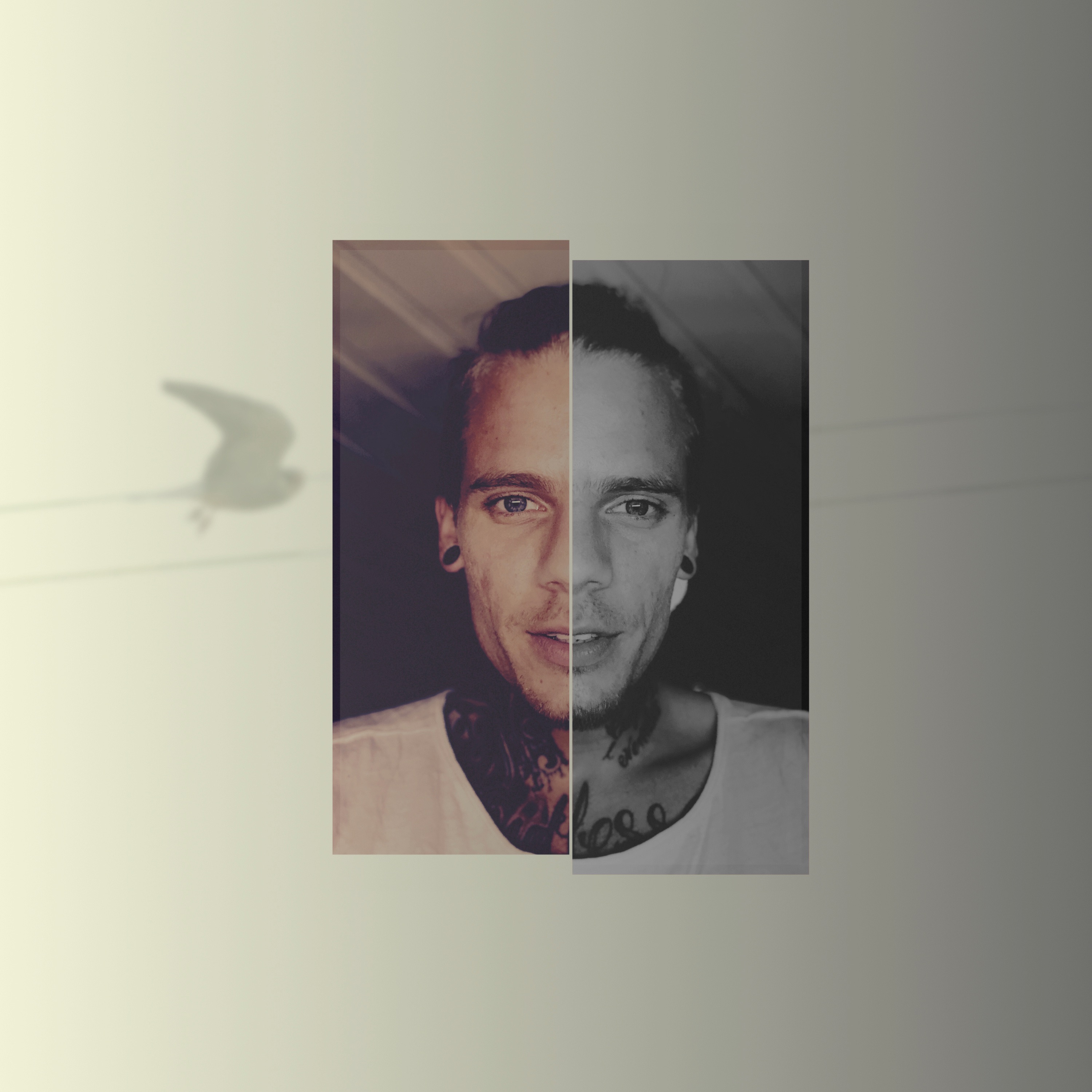 Vandrefalk - Single album cover