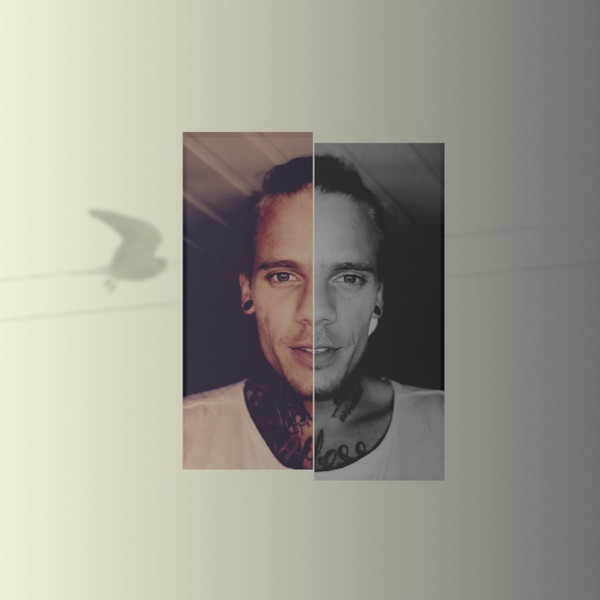 Vandrefalk - Single album cover