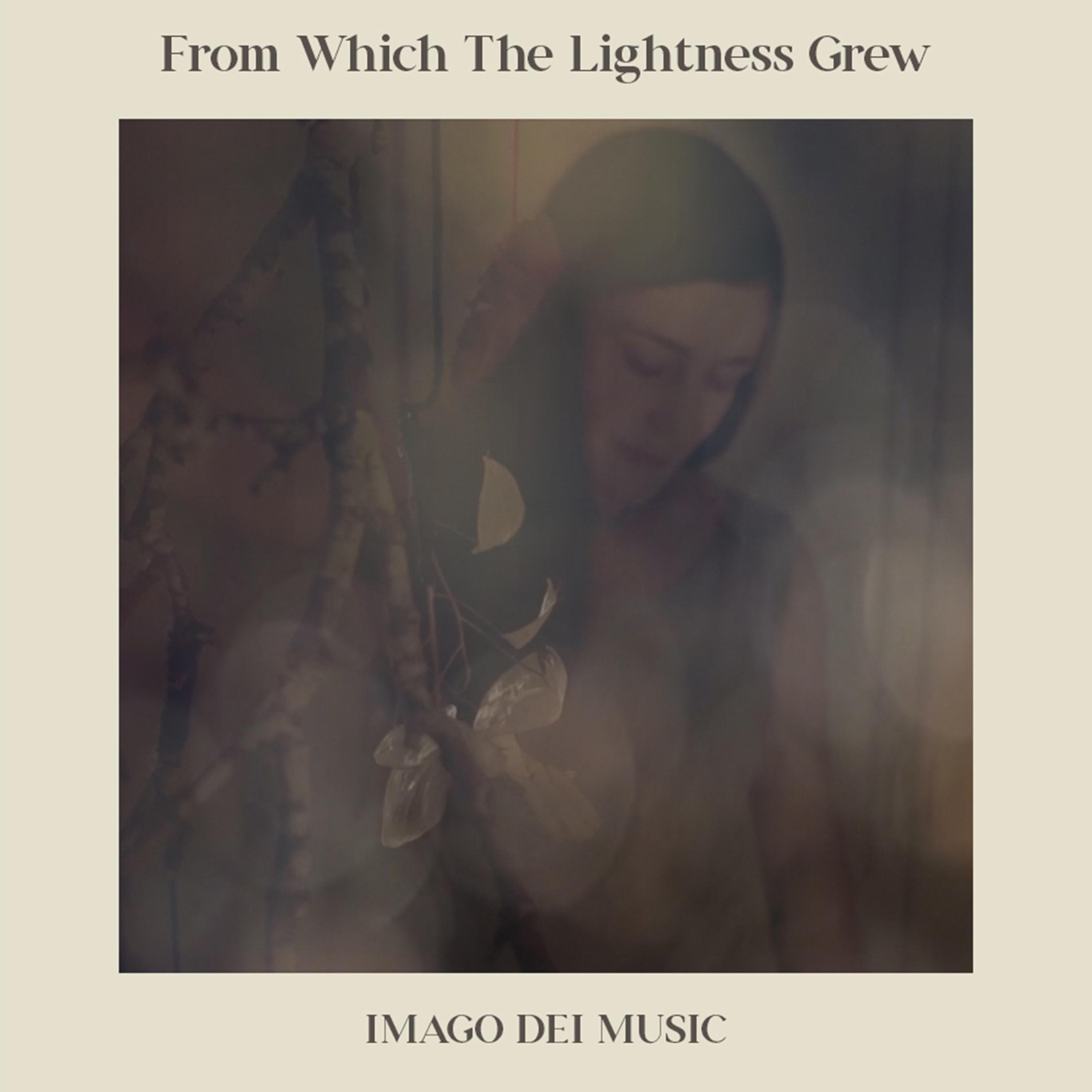 From Which the Lightness Grew (feat. Catherine Feeny) - Single album cover