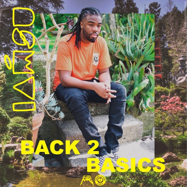 Back 2 Basics - Single album cover