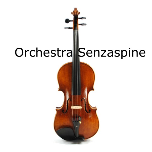 Orchestra Senzaspine - EP album cover