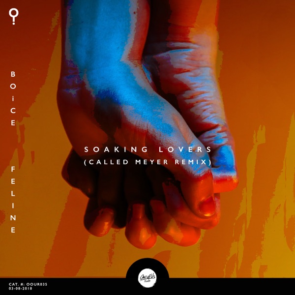 Soaking Lovers (Called Meyer Remix) - Single album cover