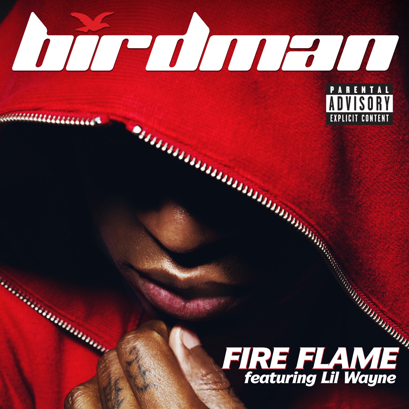 Fire Flame (feat. Lil Wayne) - Single album cover