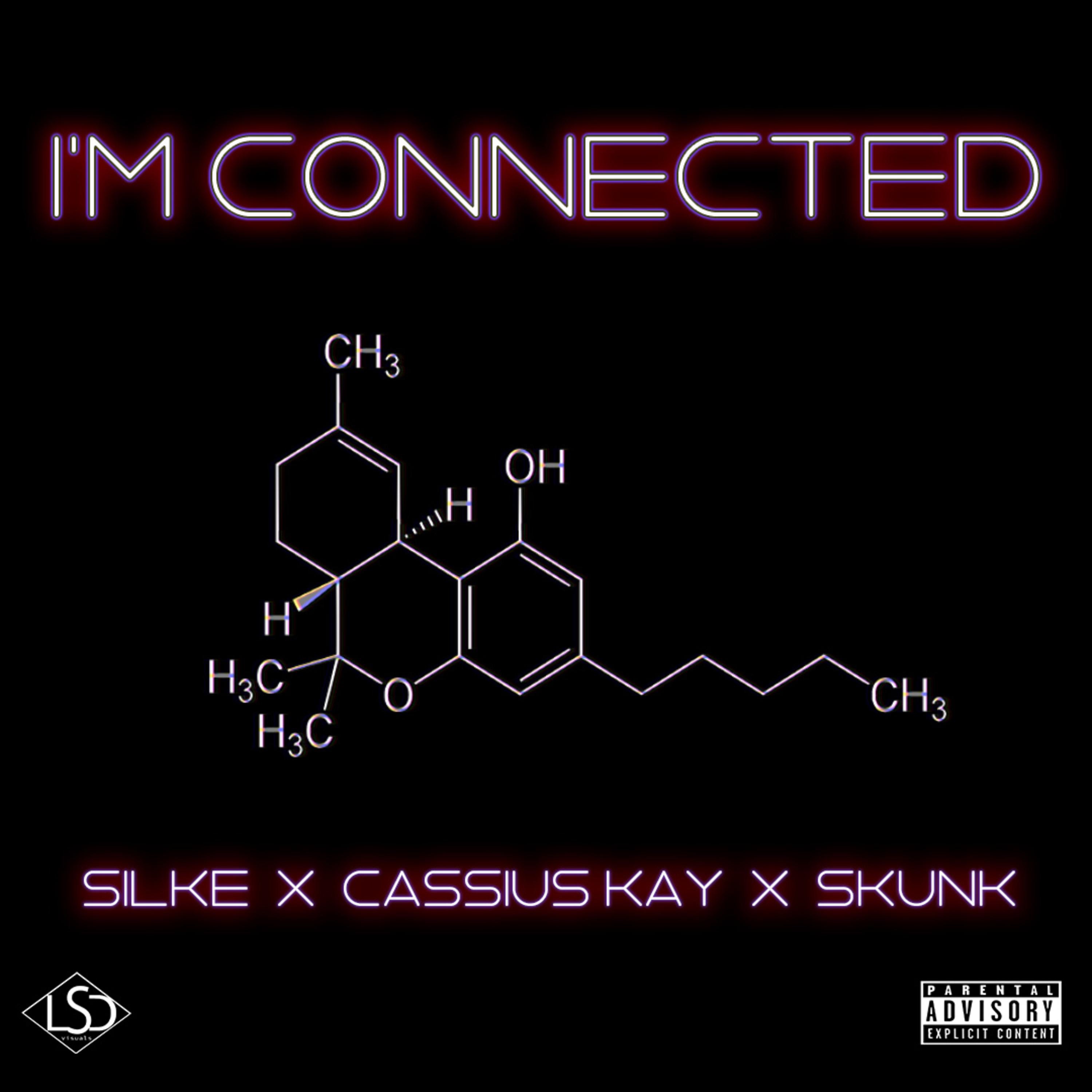 I'm Connected (feat. Cassius Kay & Skunk) - Single album cover