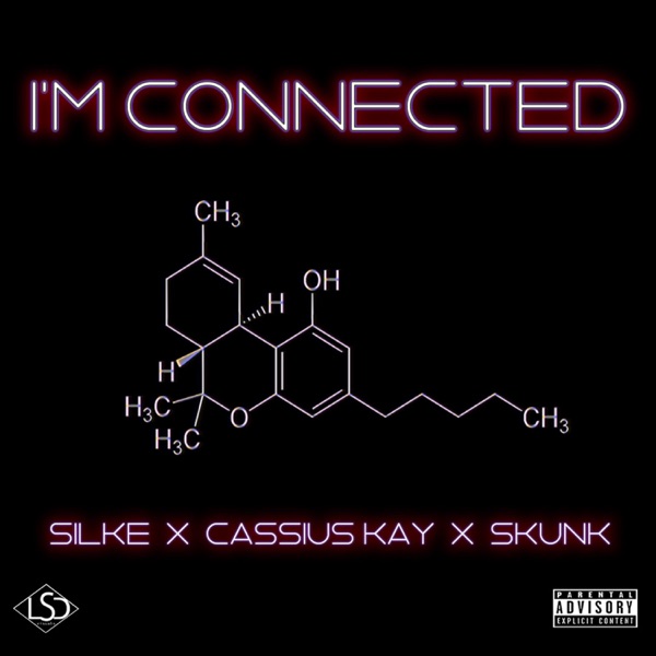 I'm Connected (feat. Cassius Kay & Skunk) - Single album cover