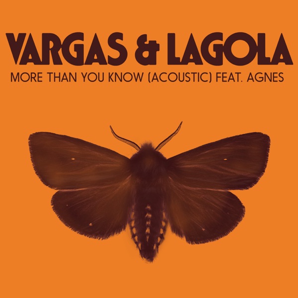 More Than You Know (Acoustic) [feat. Agnes] - Single album cover