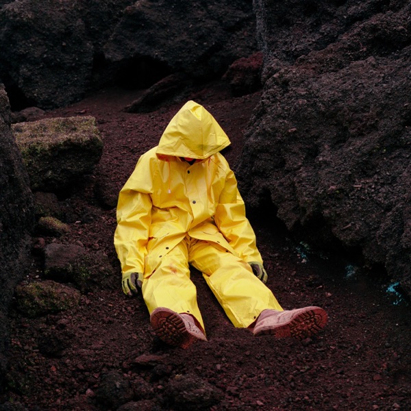 Cerebral album cover