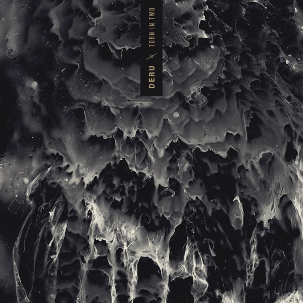 Torn in Two - Single album cover