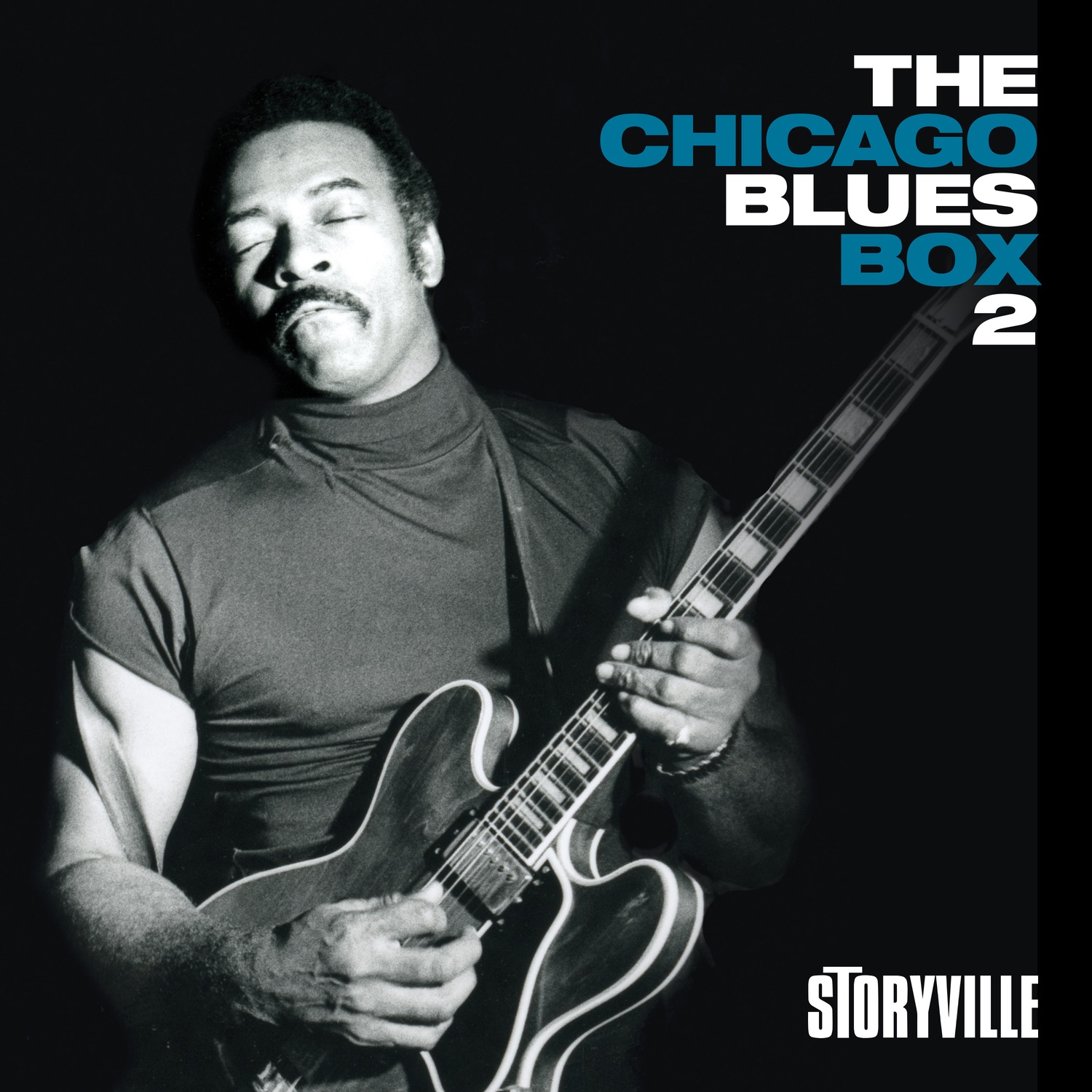 The Chicago Blues Box 2, Vol. 7 (feat. Louis Myers, Dave Myers & Freddie Below) album cover