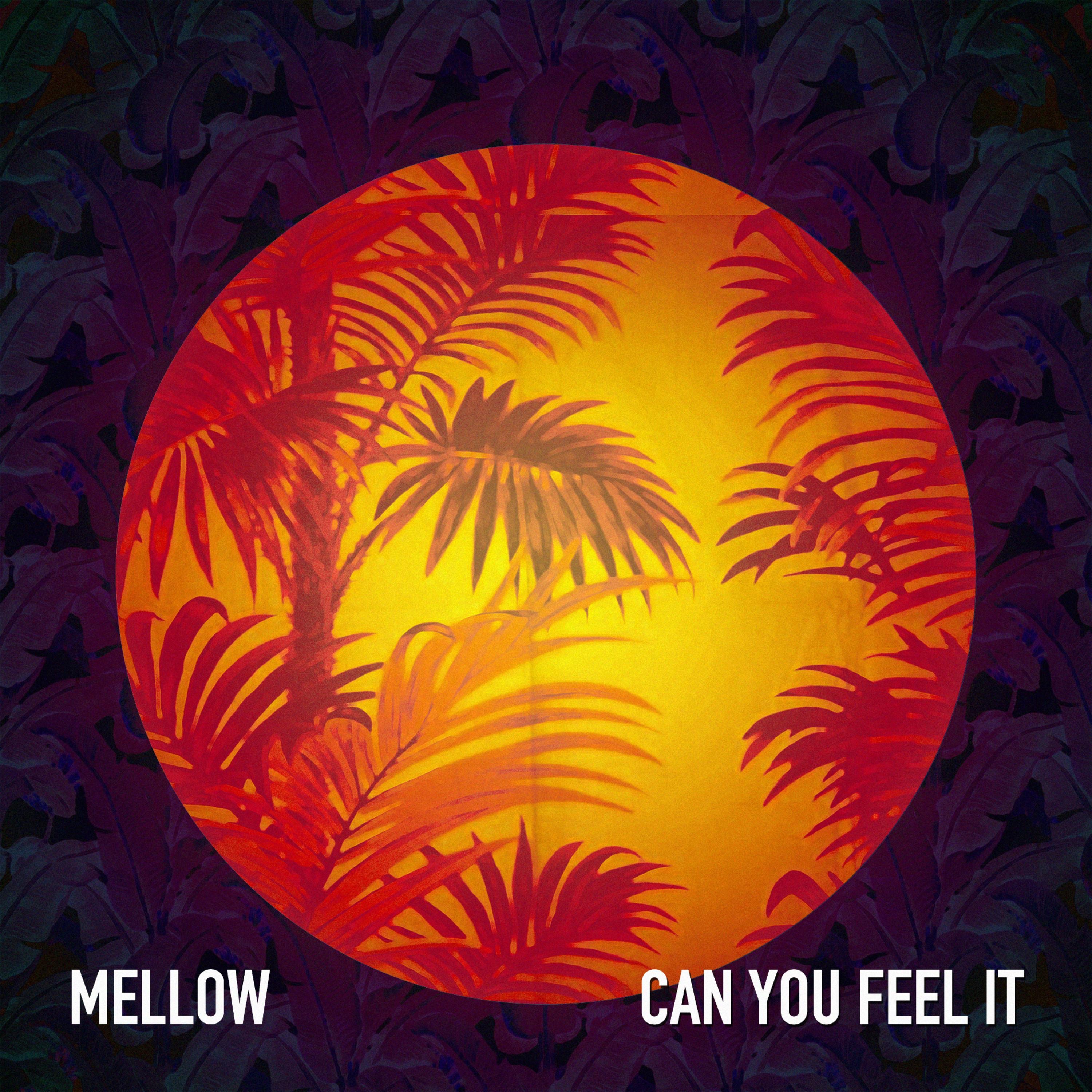 Can You Feel It - Single album cover