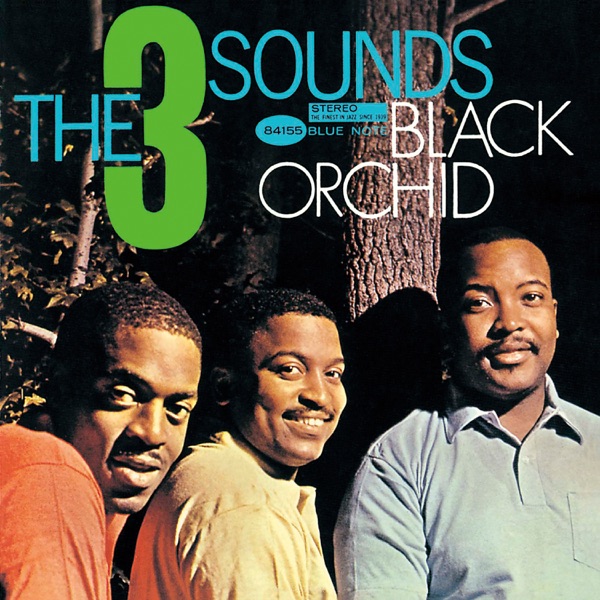 Black Orchid album cover