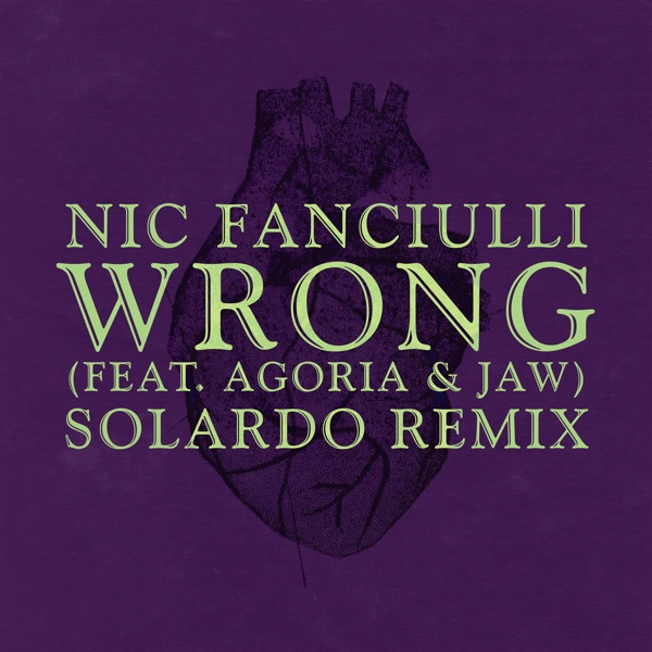 Wrong (feat. Agoria & JAW) [Solardo Remix] - Single album cover