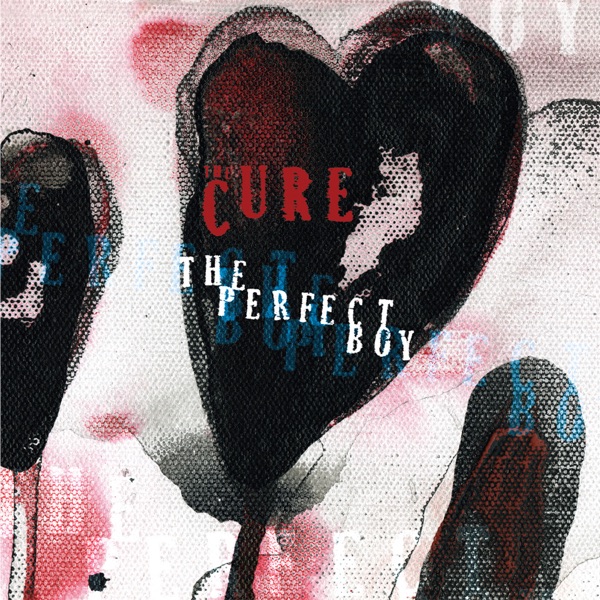The Perfect Boy (Mix 13) - Single album cover