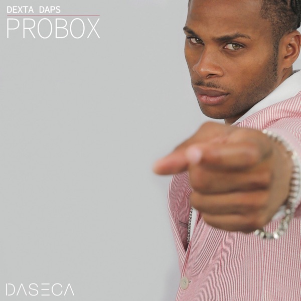 Probox - Single album cover