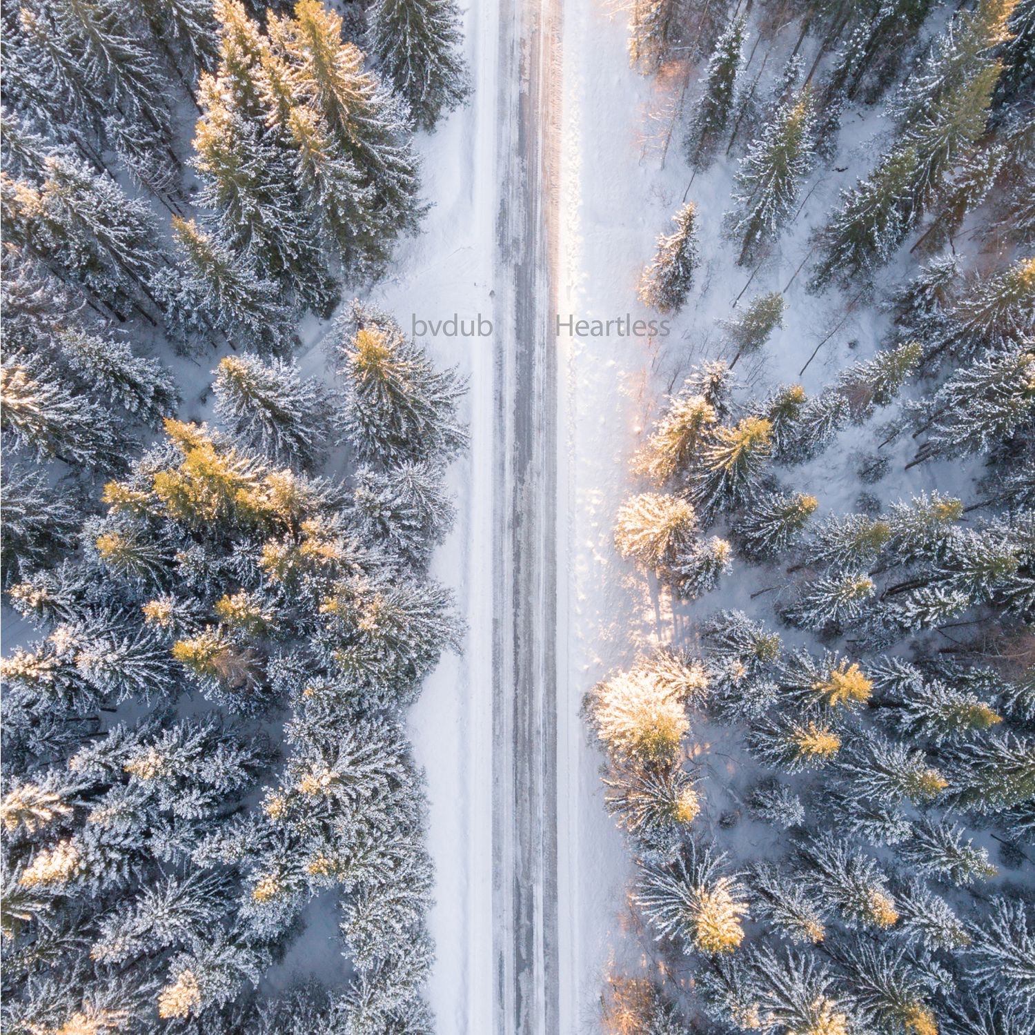 Heartless album cover