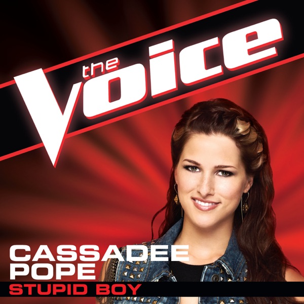 Stupid Boy (The Voice Performance) - Single album cover