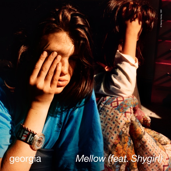 Mellow (Feat. Shygirl) - Single album cover
