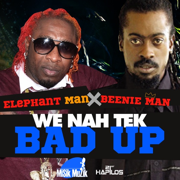 We Nah Tek Bad Up - Single album cover