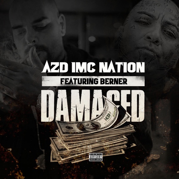 Damaged (feat. AZD) - Single album cover