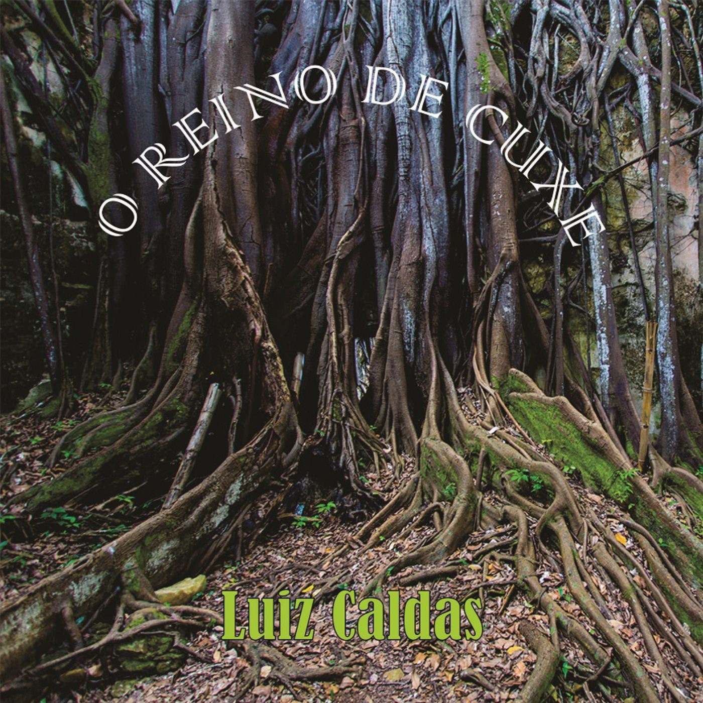 O Reino de Cuxe album cover