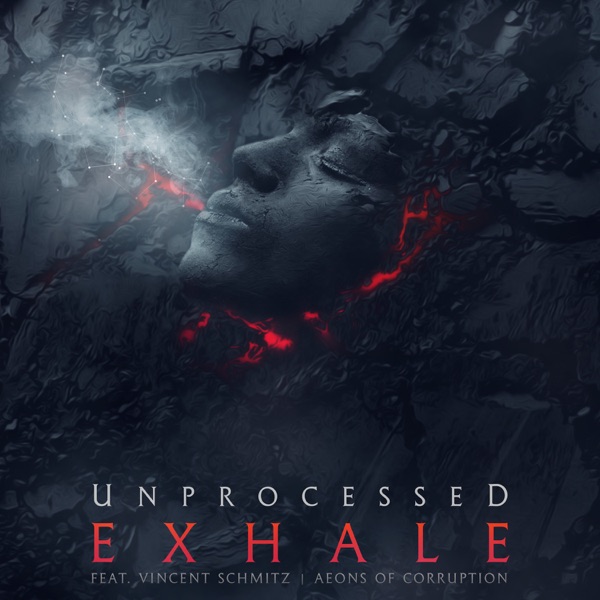 Exhale (feat. Vincent Schmitz) - Single album cover
