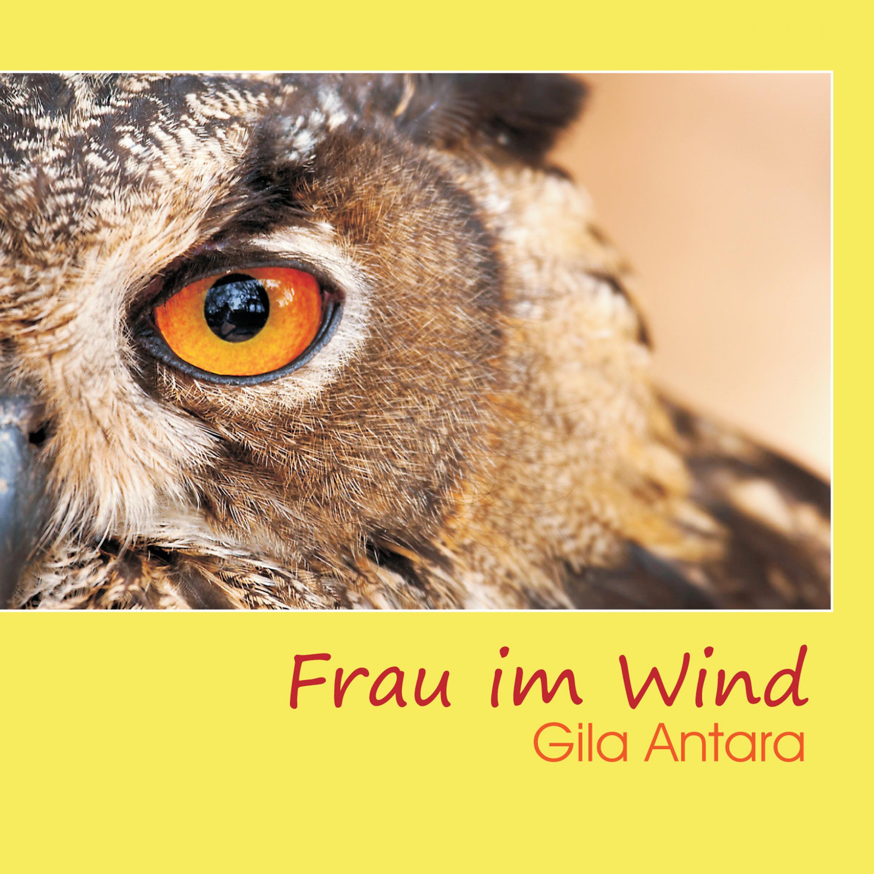Frau im Wind album cover