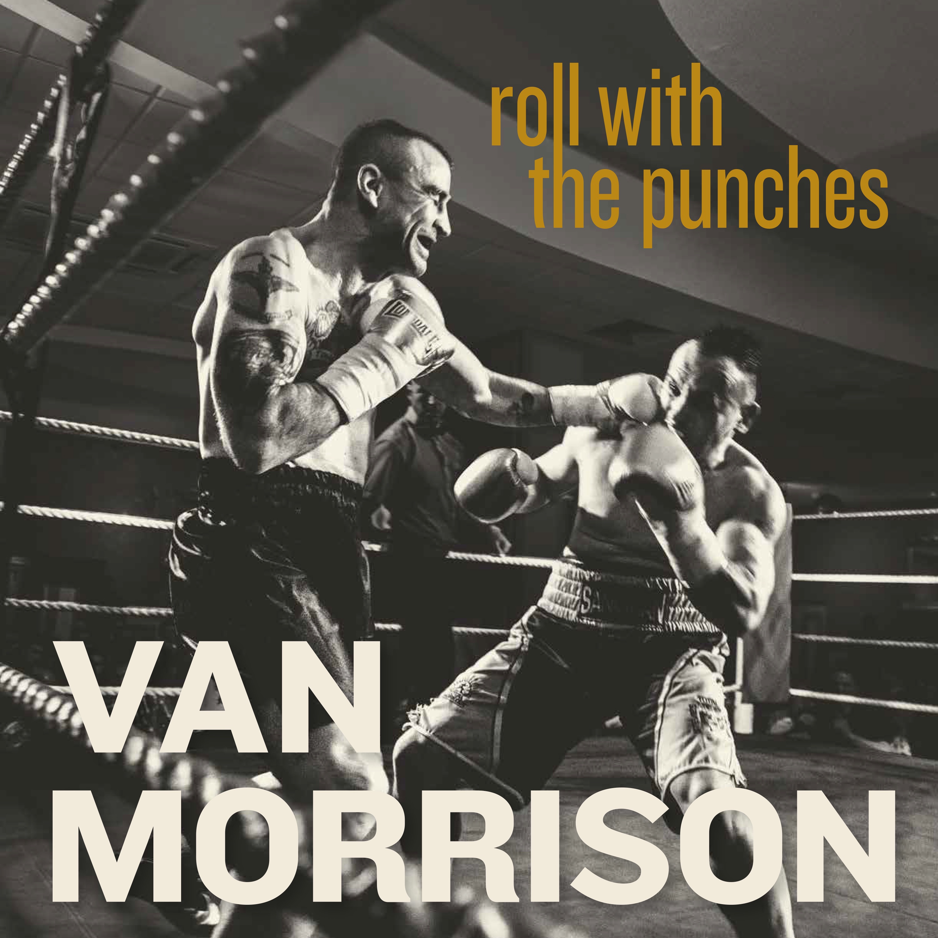 Roll With the Punches album cover