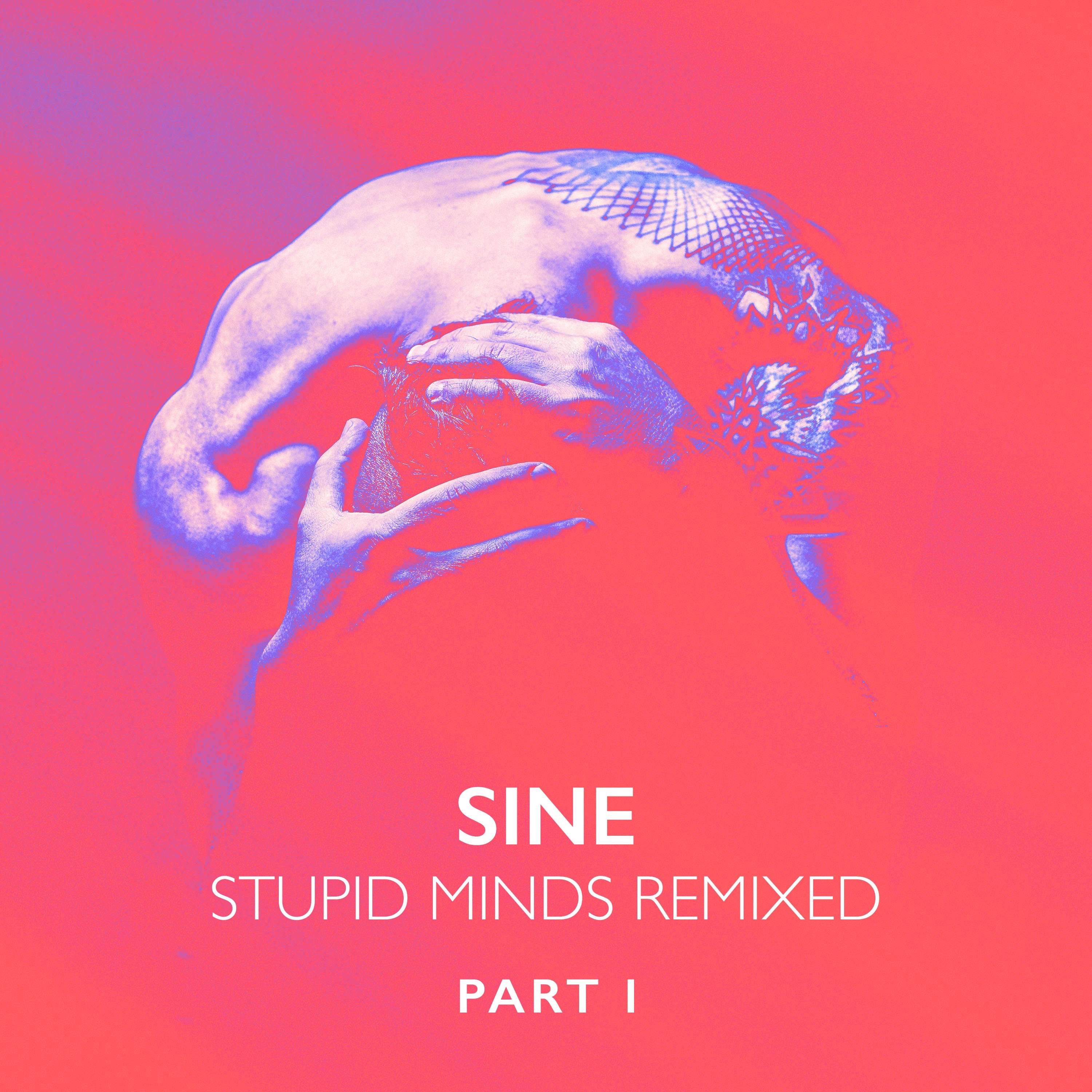 Stupid Minds Remixed, Pt. 1 (Remixes) album cover