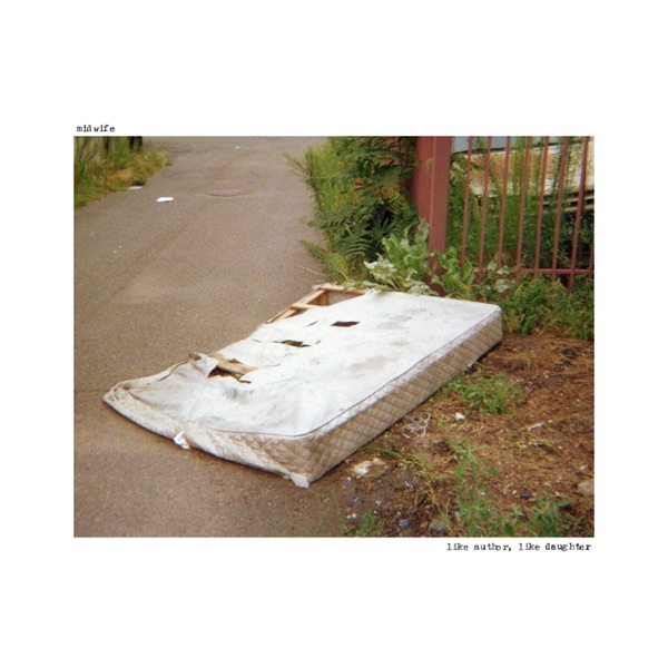 Like Author, Like Daughter album cover