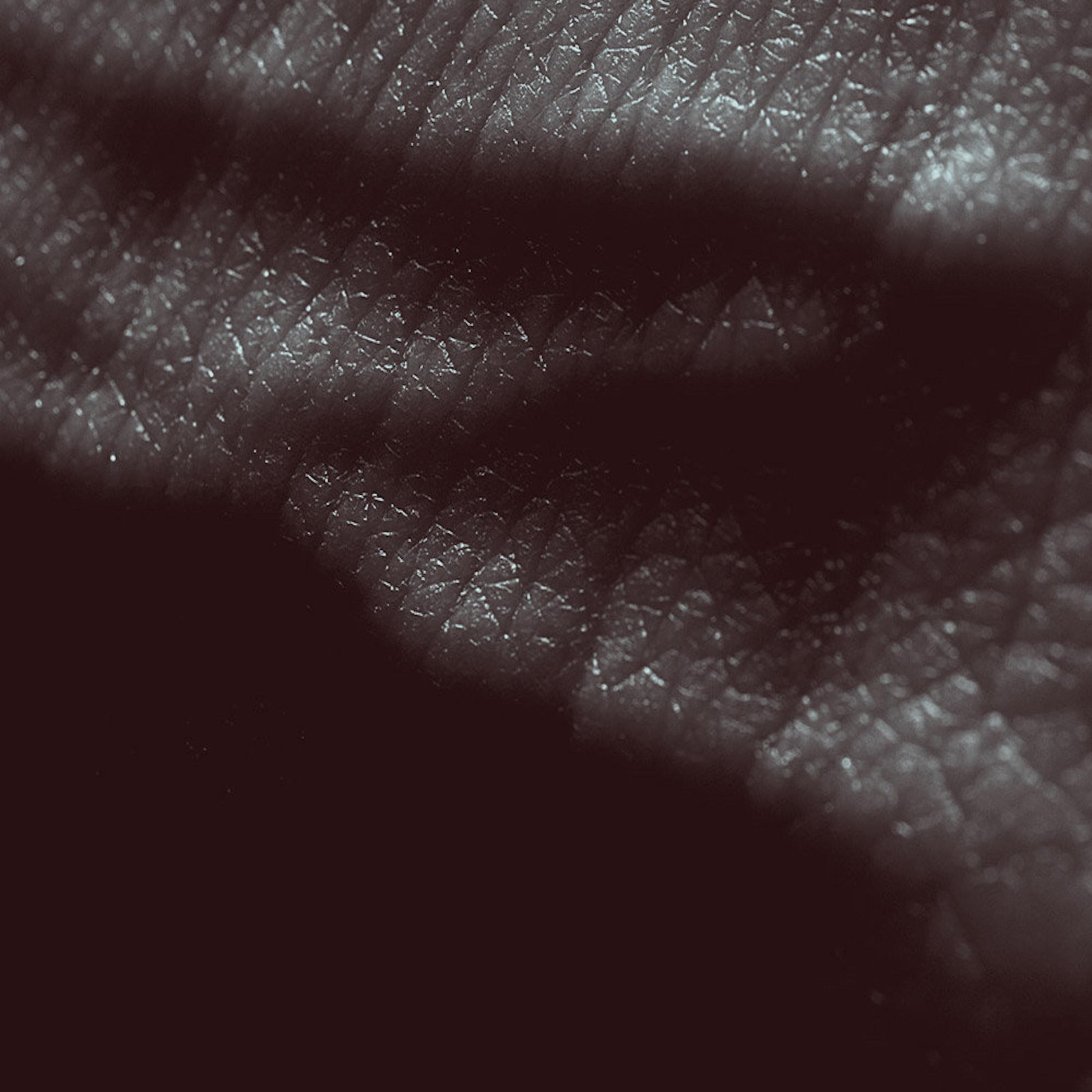 Posthuman Deluxe album cover