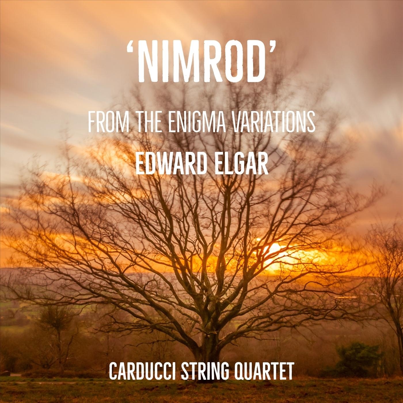 Nimrod (From "The Enigma Variations") [For String Quartet] - Single album cover