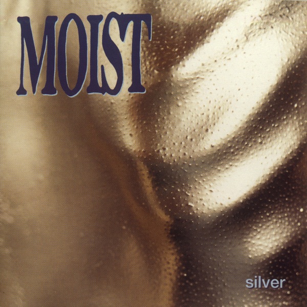 Silver album cover