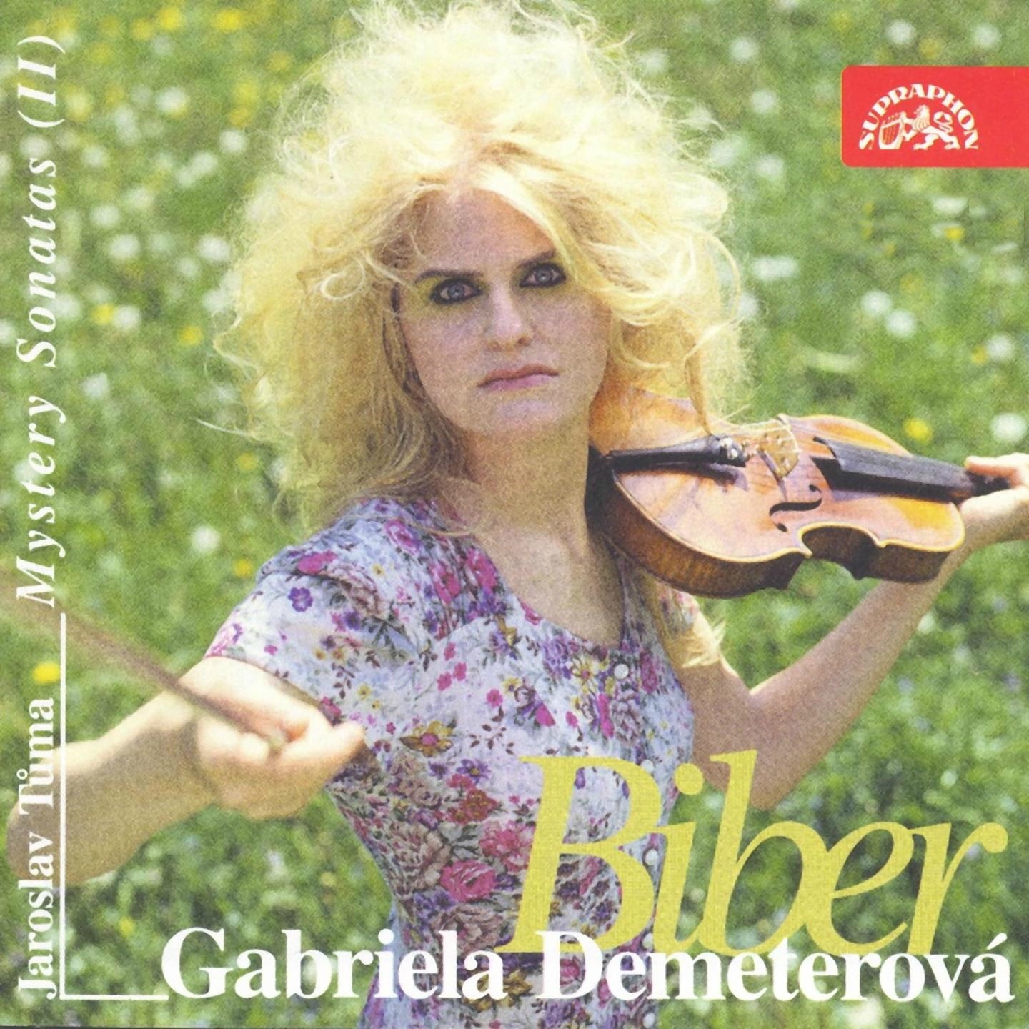 Biber: Mystery Sonatas, Vol. 2 album cover