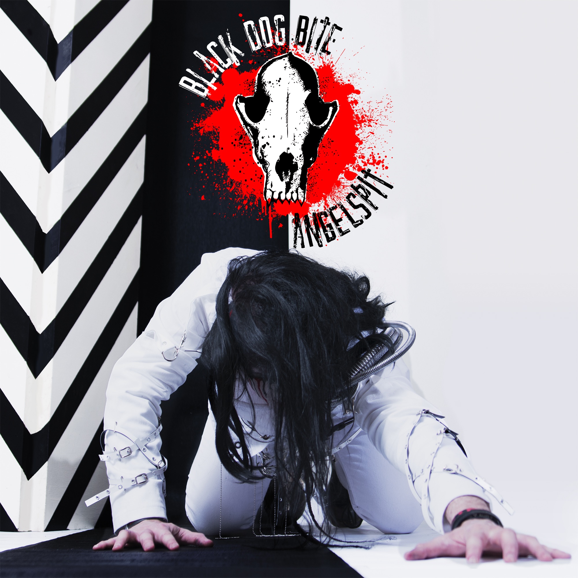 Black Dog Bite album cover