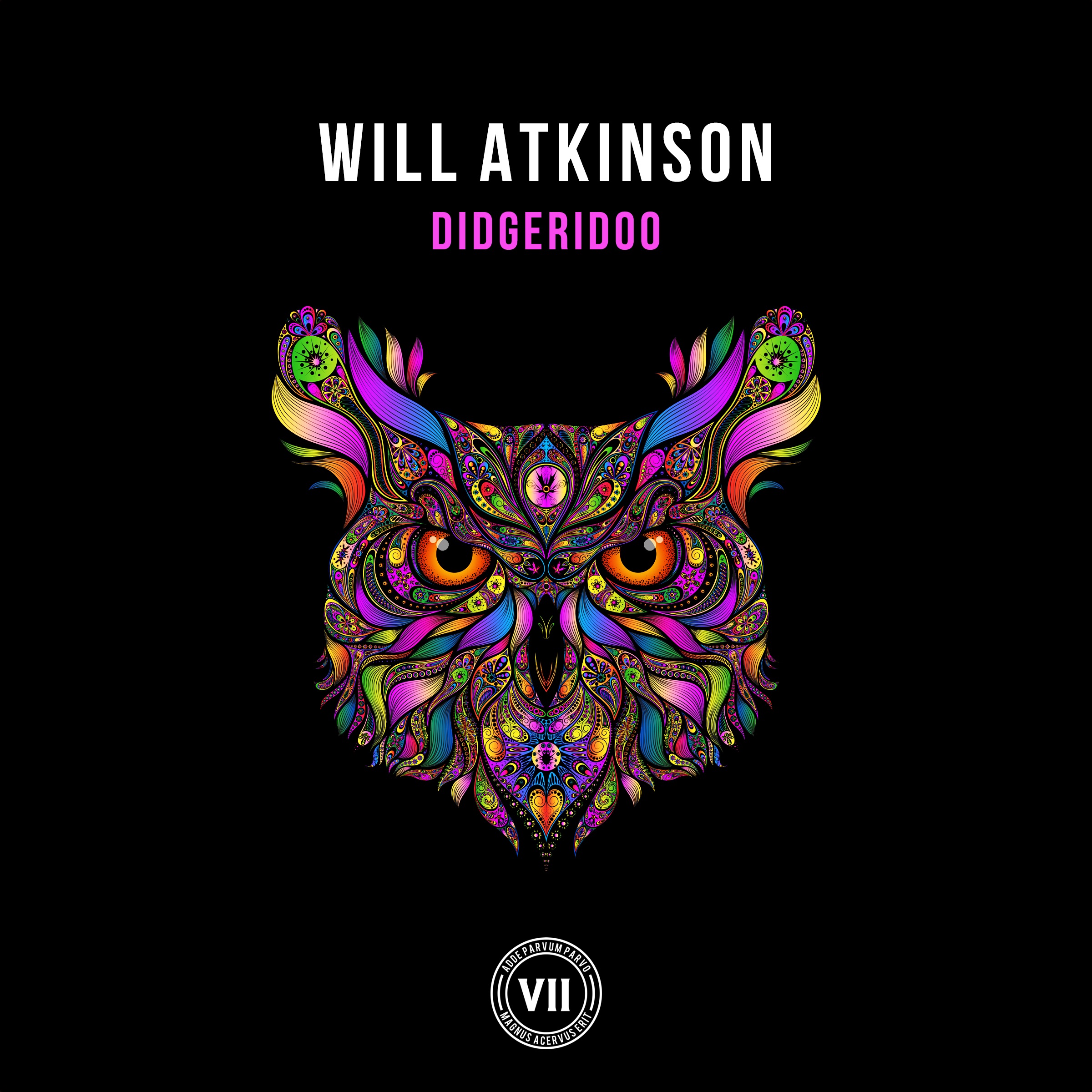 Didgeridoo - Single album cover