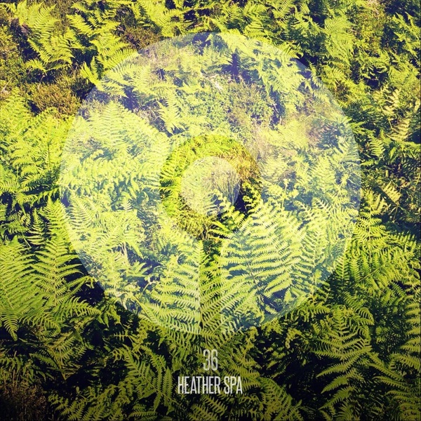Heather Spa album cover