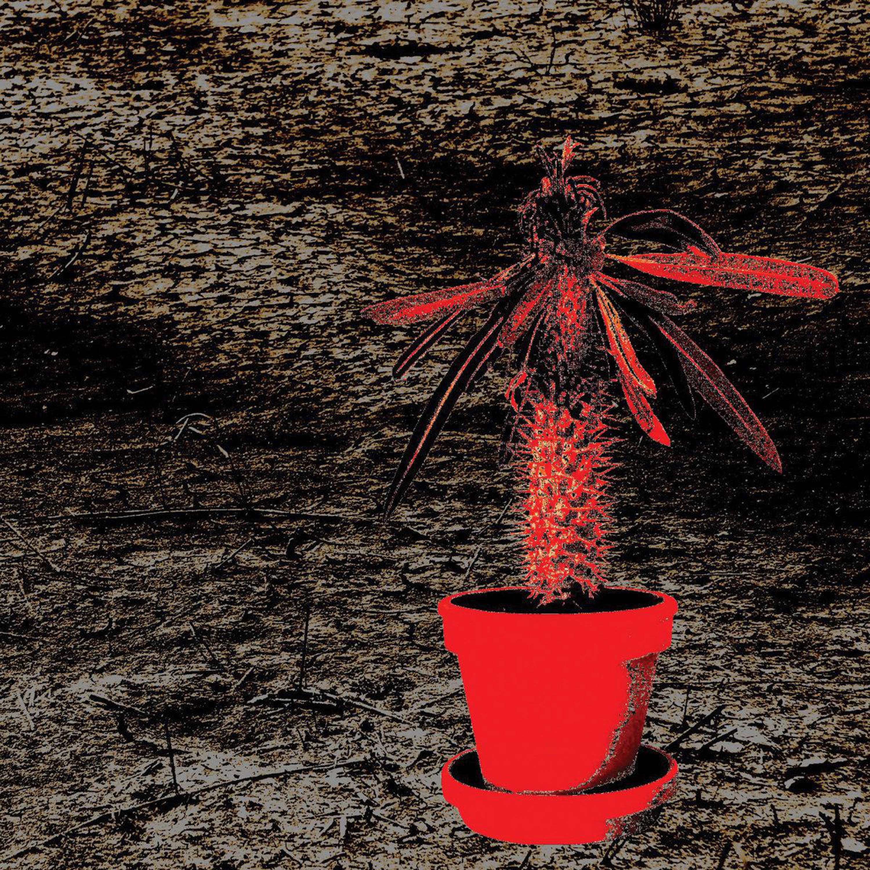 Moskovan Pasuunat (Laajennettu painos) album cover