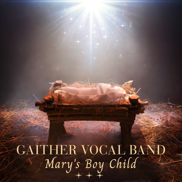 Mary's Boy Child - Single album cover