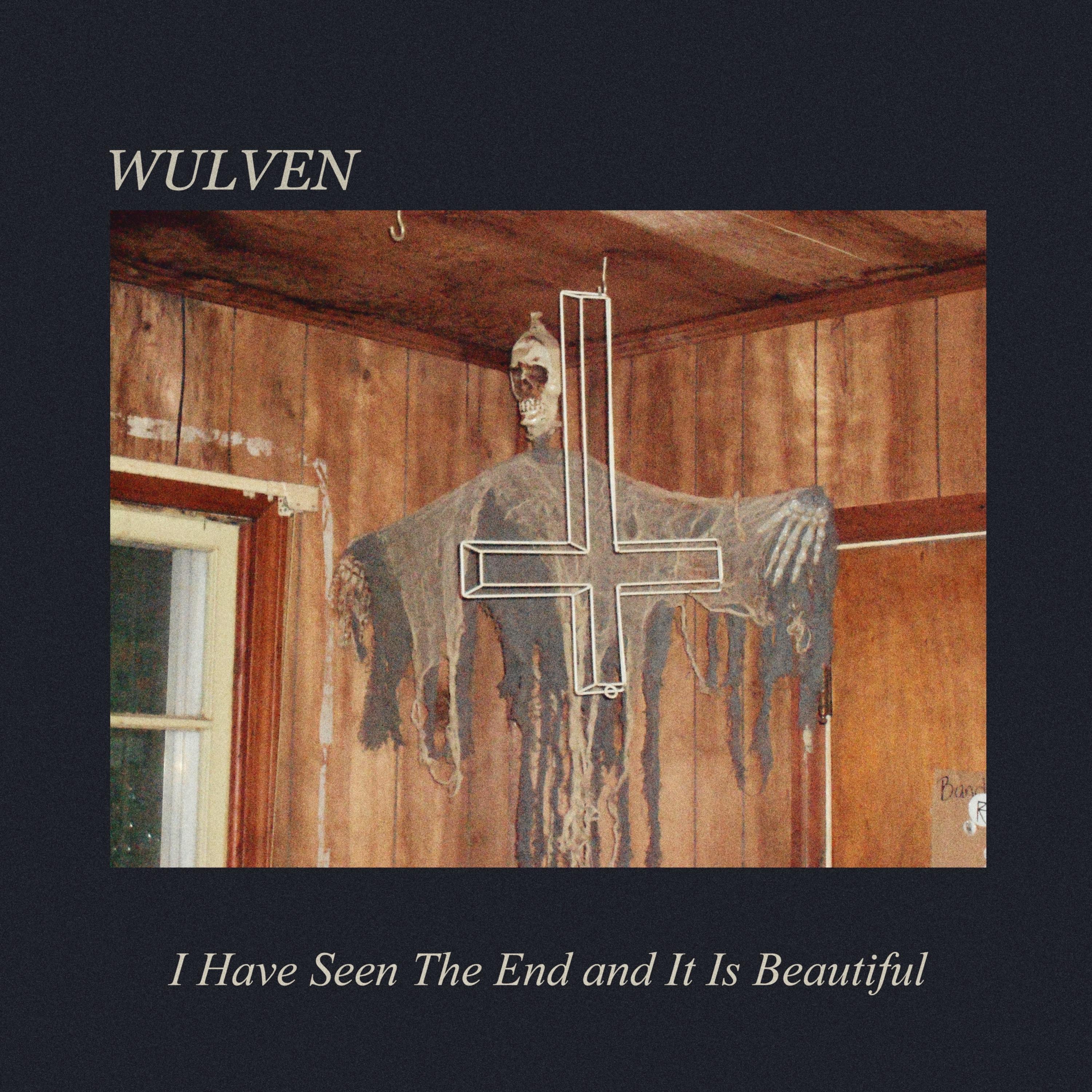 I Have Seen the End and It Is Beautiful album cover