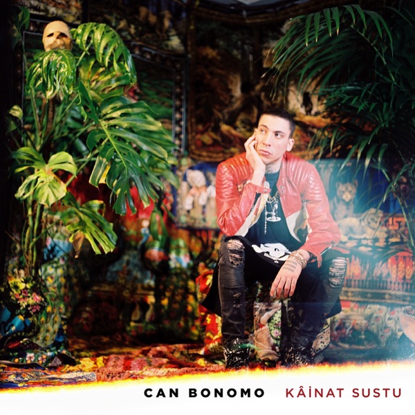 Kâinat Sustu album cover