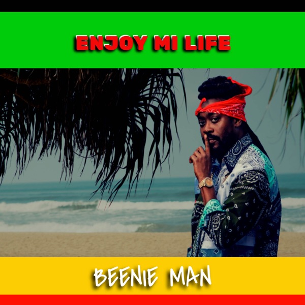 Enjoy Mi Life - Single album cover