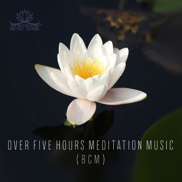 Over Five Hours Meditation Music (BGM) album cover