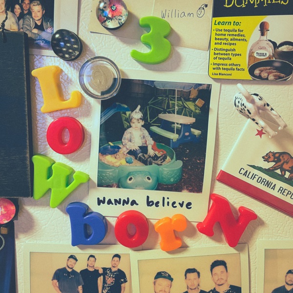 Wanna Believe - Single album cover