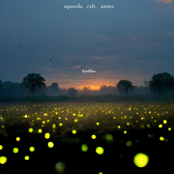 Fireflies - Single album cover