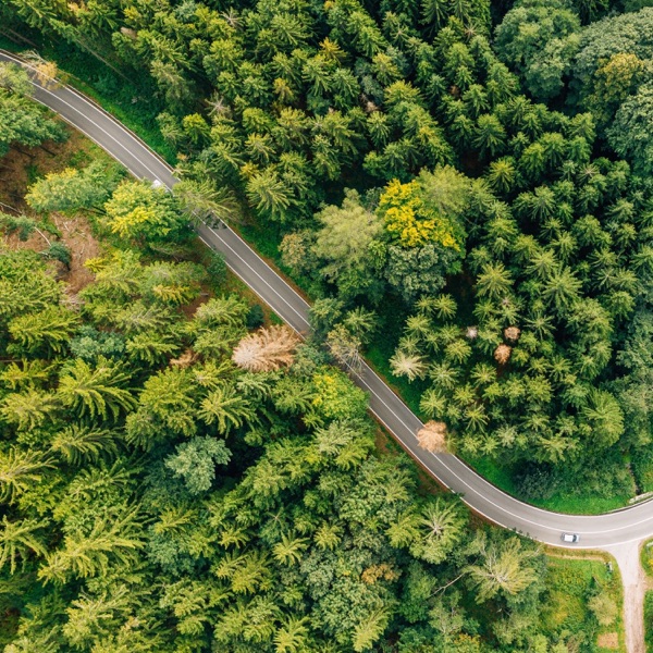 Bump Now - Single album cover