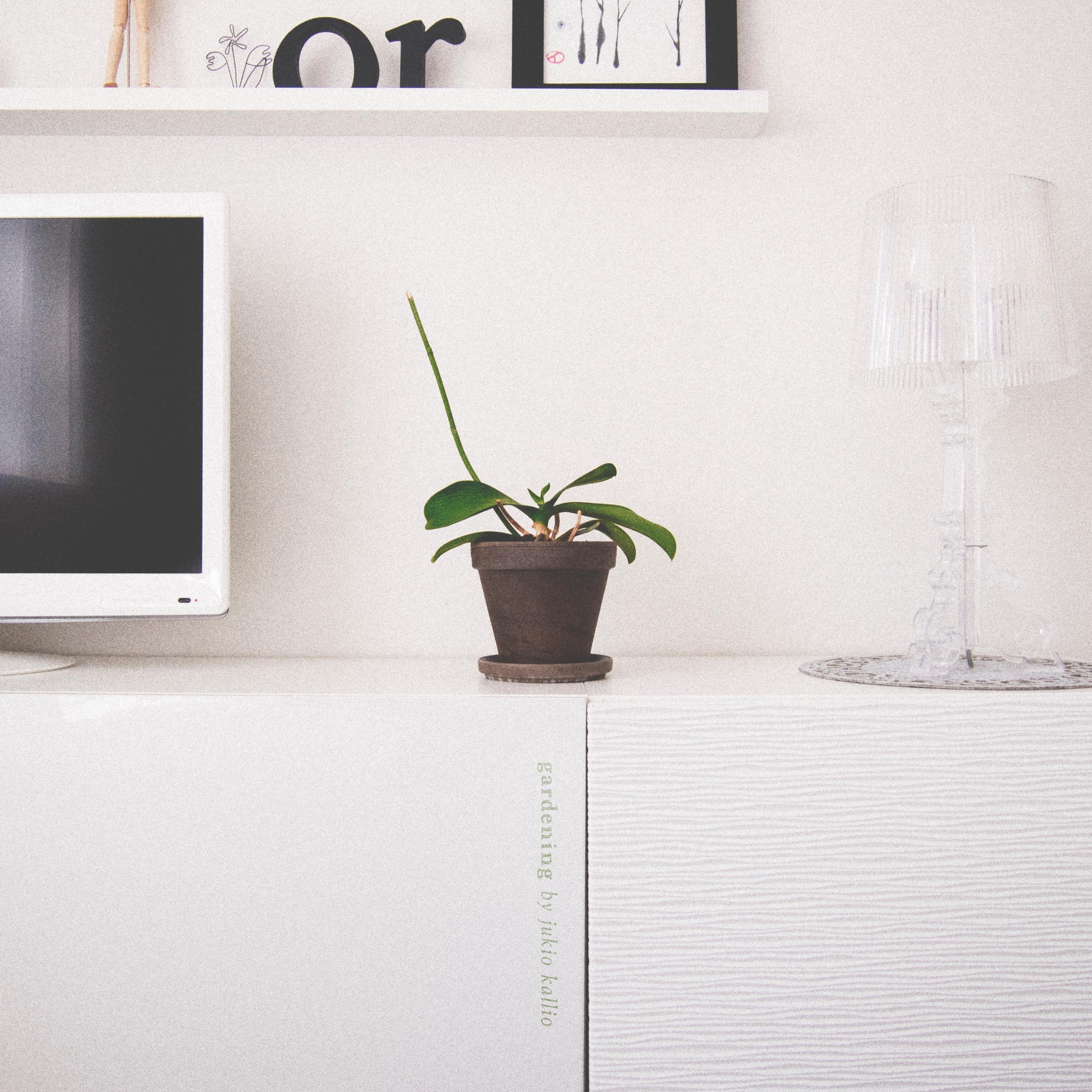 Gardening album cover