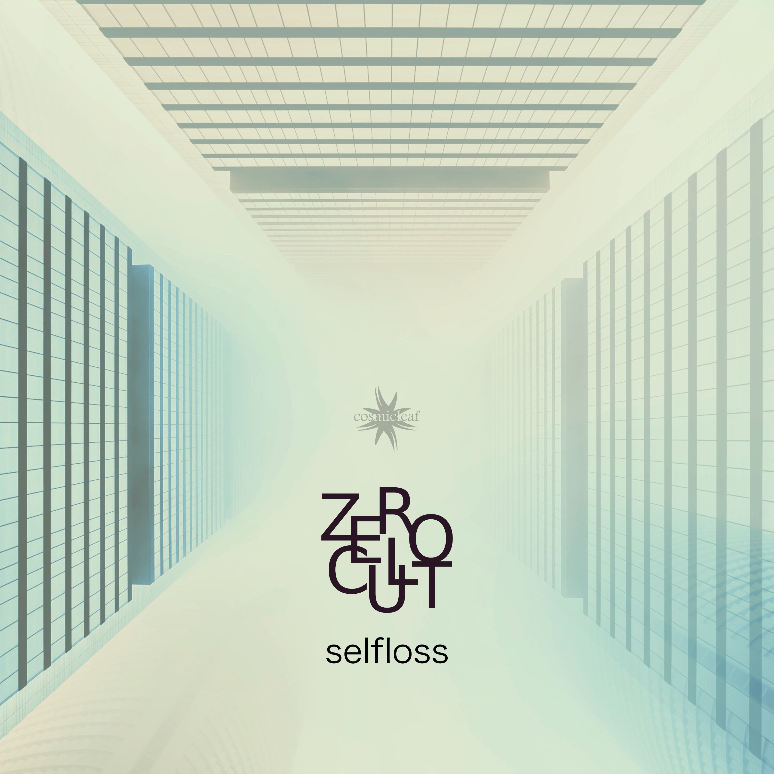 Selfloss - Single album cover