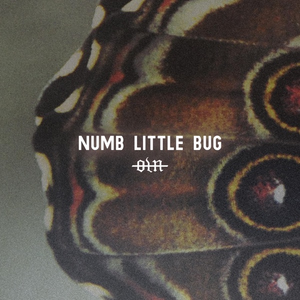 Numb Little Bug - Single album cover