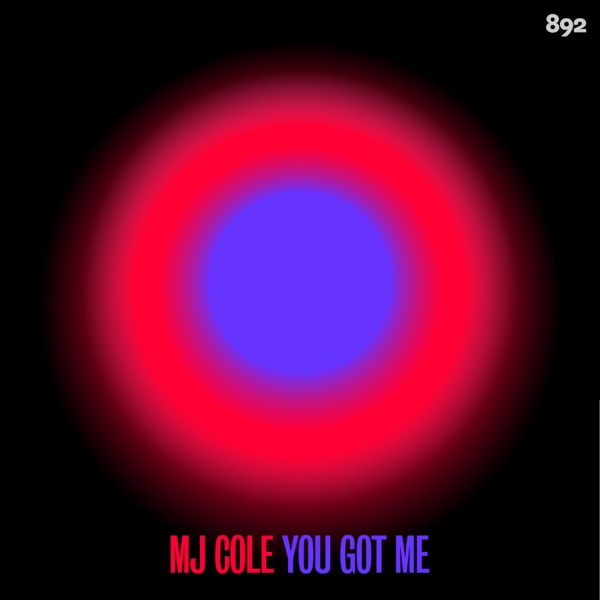 You Got Me - Single album cover